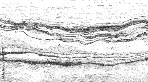 Black and white abstract representation of layered geological strata with textured patterns and flowing lines