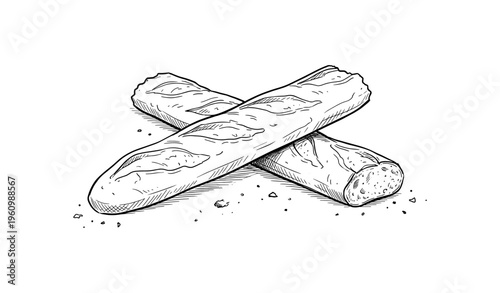 Hand-drawn baguette sketch on white background with crumbs