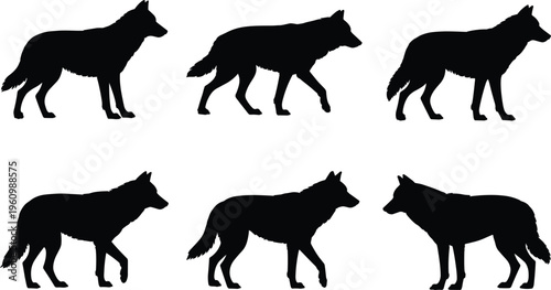 Six black wolf silhouettes in walking and standing poses on a white background animal wildlife