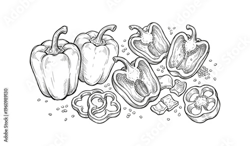 Black and white sketch of sliced and whole bell peppers with seeds