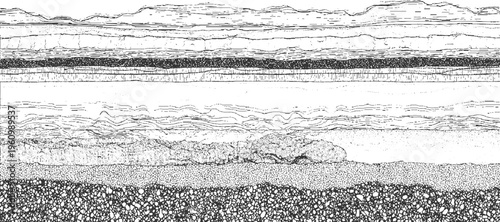 Detailed cross section of geological strata showing layers of sediment and rock formations geology