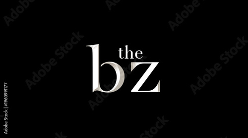 Stylized 'the bz' text with elegant serif font and metallic 3D effect on a dark black background, minimal typography design
