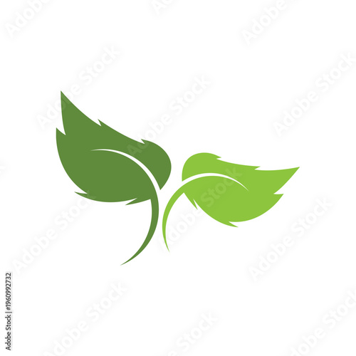 green leaf ecology nature element vector icon