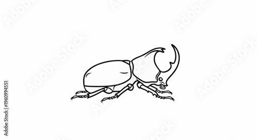 Detailed outline drawing of a rhinoceros beetle with sharp horns