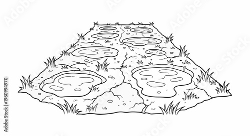 Cracked ground with puddles and grass tufts