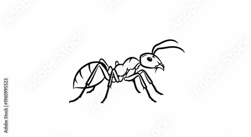 Detailed black and white line drawing of a single ant in profile