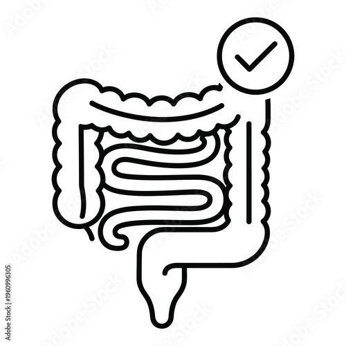 Human digestive system anatomy with checkmark icon for health concept icon