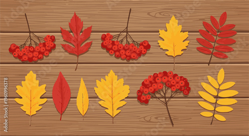 Colorful autumn leaves and berries scattered on rustic wooden planks