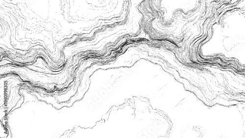 Black and white abstract topographic contour lines forming a dense pattern