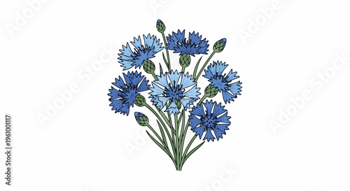 Delicate illustration of a bouquet of blue and light blue cornflowers