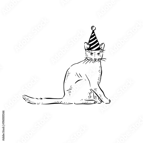 A sitting cat in a party hat. Striped party hat with bobble on top.