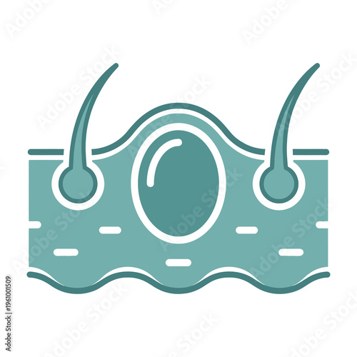 Teal illustration of skin cross section with hairs and follicles on white background