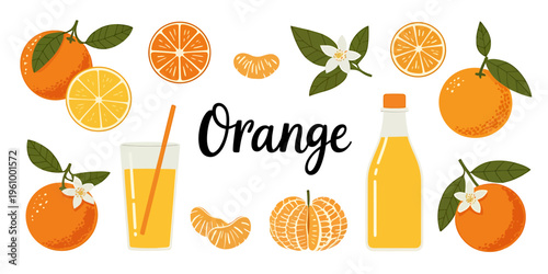 Orange fruit and juice collection