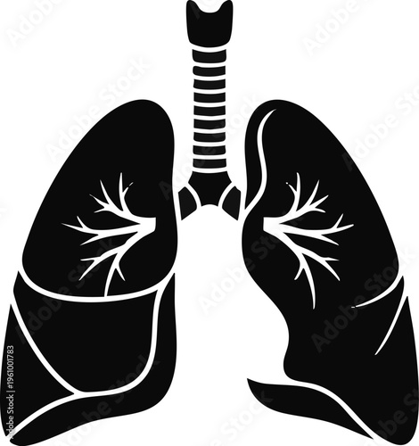 vector illustration of Lungs