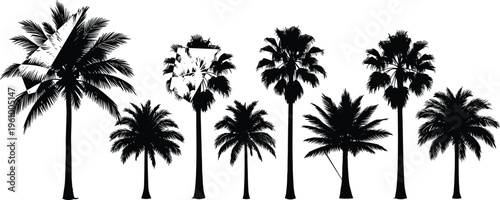 Tropical palm tree silhouettes set isolated on white background, detailed coconut and fan palm collection, exotic beach nature illustration perfect for summer design themes