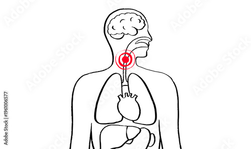 Throat inflammation pain