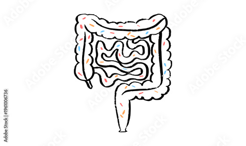 Gut Brain Connection