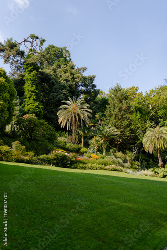 Lush Tropical Garden Serenity Under Clear Blue Sky