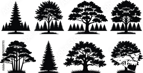 Forest tree silhouettes set isolated on white background, pine and oak woodland icons, nature park landscape vector illustrations for design.