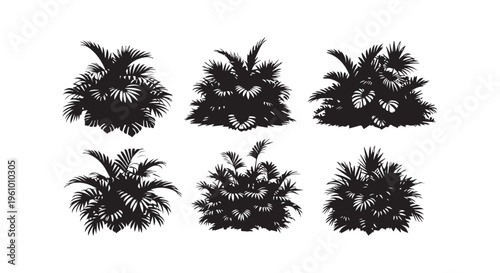 Six different types of palm trees silhouette against a white background