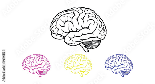 Collection of diverse vector graphic illustrations depicting the human brain anatomy in outline styles