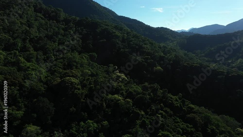 Aerial view of a dense tropical mountain forest at sunset with deep shadows and golden light on the canopy