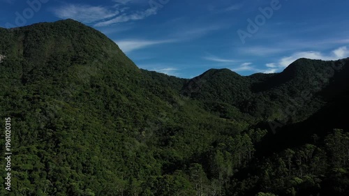 Aerial view of a dense tropical mountain forest at sunset with deep shadows and golden light on the canopy