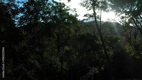 Aerial view of a dense tropical mountain forest at sunset with deep shadows and golden light on the canopy