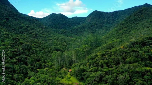 Aerial view of a dense tropical mountain forest at sunset with deep shadows and golden light on the canopy