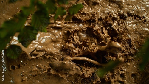 Freeze Motion Shot of Mud S...