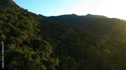 Aerial view of a dense tropical mountain forest at sunset with deep shadows and golden light on the canopy