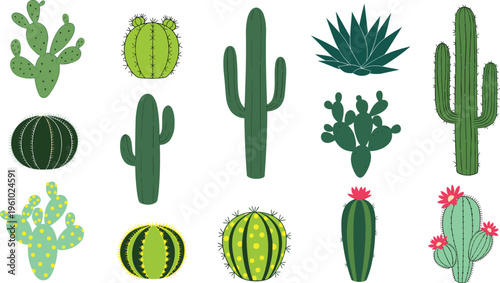 Set of green cactus vector illustrations with different succulent types isolated on white background including saguaro prickly pear and barrel cacti for desert nature design