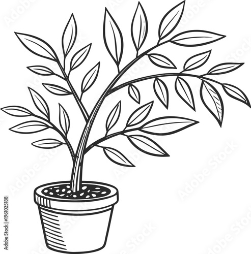 Hand-drawn sketch of a small potted plant with leaves and branches, isolated on white