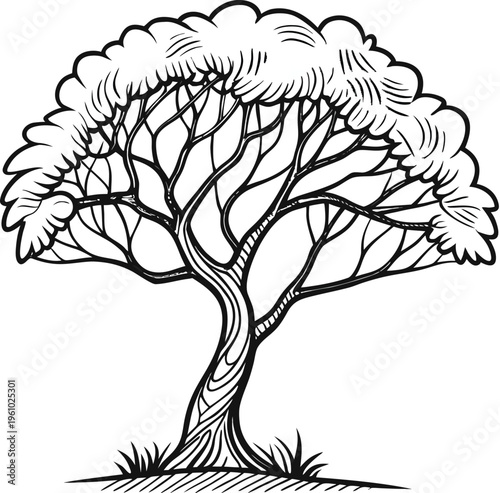 Stylized line art of a single, mature tree with intricate branches and a full, rounded canopy.
