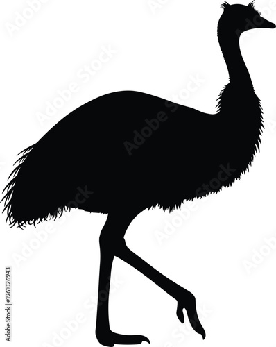 Detailed black emu bird silhouette vector illustration isolated on white background for wildlife nature conservation and Australian outback animal graphic design projects.