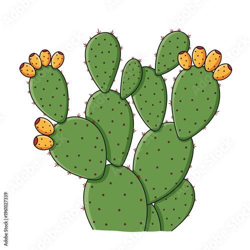 Prickly pear cactus with yellow fruits on an isolated transparent background ( include cut-out PNG file ).