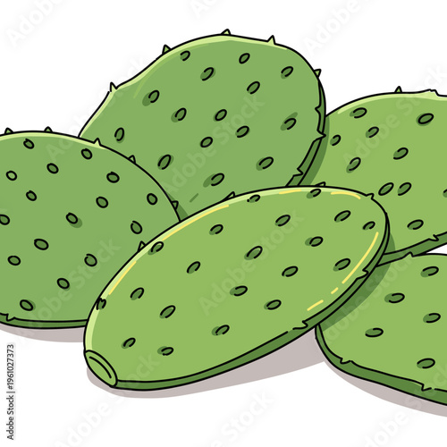 Green nopal cactus pads with small spines on an isolated transparent background ( include cut-out PNG file ).