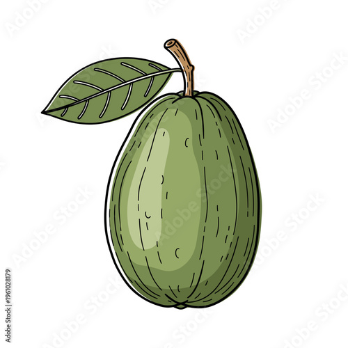 A single green textured guava fruit with a brown stem and one leaf. Isolated transparent background ( include cut-out PNG file ).