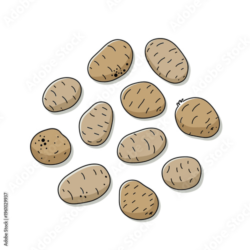 an illustration of several brown potatoes with small sprouts and textured skin details.Isolated transparent background ( include cut-out PNG file )