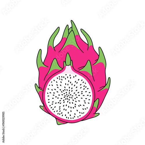 An illustration of pink dragon fruit with white flesh and small black seeds. Isolated transparent background ( include cut-out PNG file ).