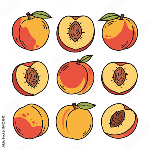 An illustration of whole and halved peaches with orange skin and brown pits. Isolated transparent background ( include cut-out PNG file ).