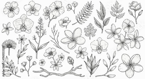 Diverse collection of hand-drawn tropical and temperate flowers and leaves