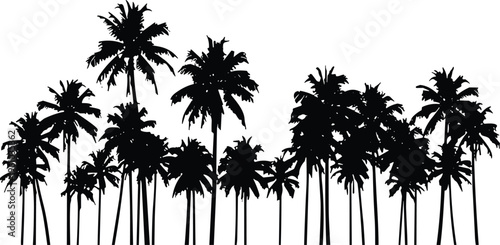Palm tree silhouettes, tropical nature illustration, exotic landscape design, summer vacation concept, beach relaxation art, travel background, paradise holiday scene