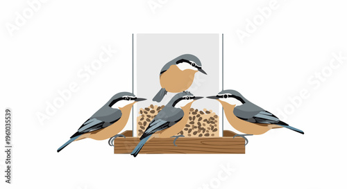 Four birds gathered around a bird feeder filled with seeds