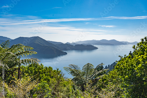 Картината върху платно Queen Charlotte Track
