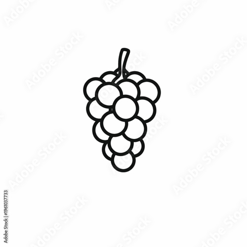 Simple line drawing of a bunch of grapes with a stem isolated on a white background