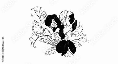 Black and white drawing of sweet pea flowers with swirling vines and leaves