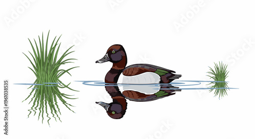 Duck swimming in water with reflections of grass and ripples