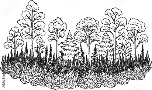 A dense, varied woodland edge with deciduous trees, evergreens, and abundant flowering plants