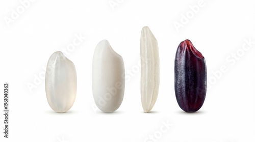 Macro row of rice grain varieties including long, short, white and purple glutinous isolated on white background.